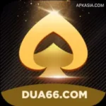 DUA 66 Game