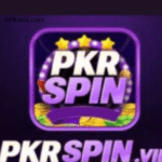 PKRspin Game